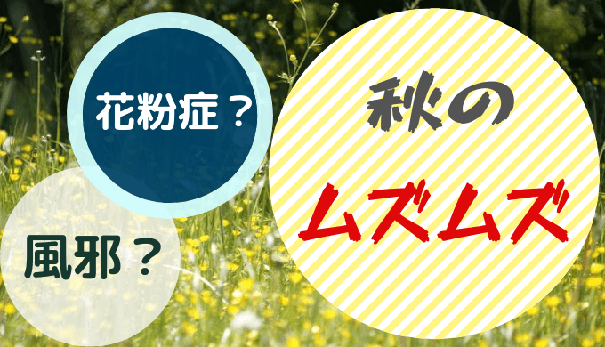 花粉症は春だけじゃない 秋のムズムズは風邪じゃなくて花粉症かも たまゆるログ